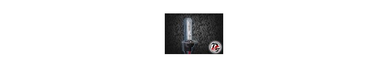 Lampade exenon